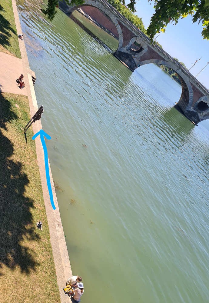 Garonne photo